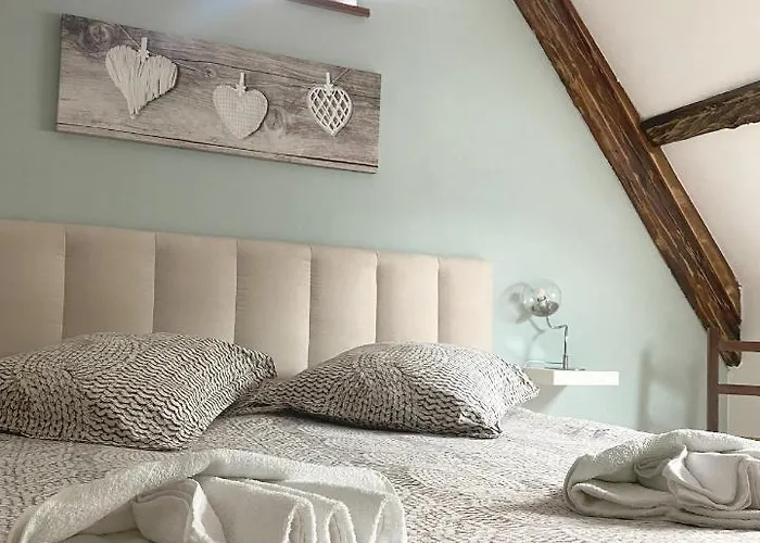 Superbe Appartement Duplex A Kaysersberg En Alsace