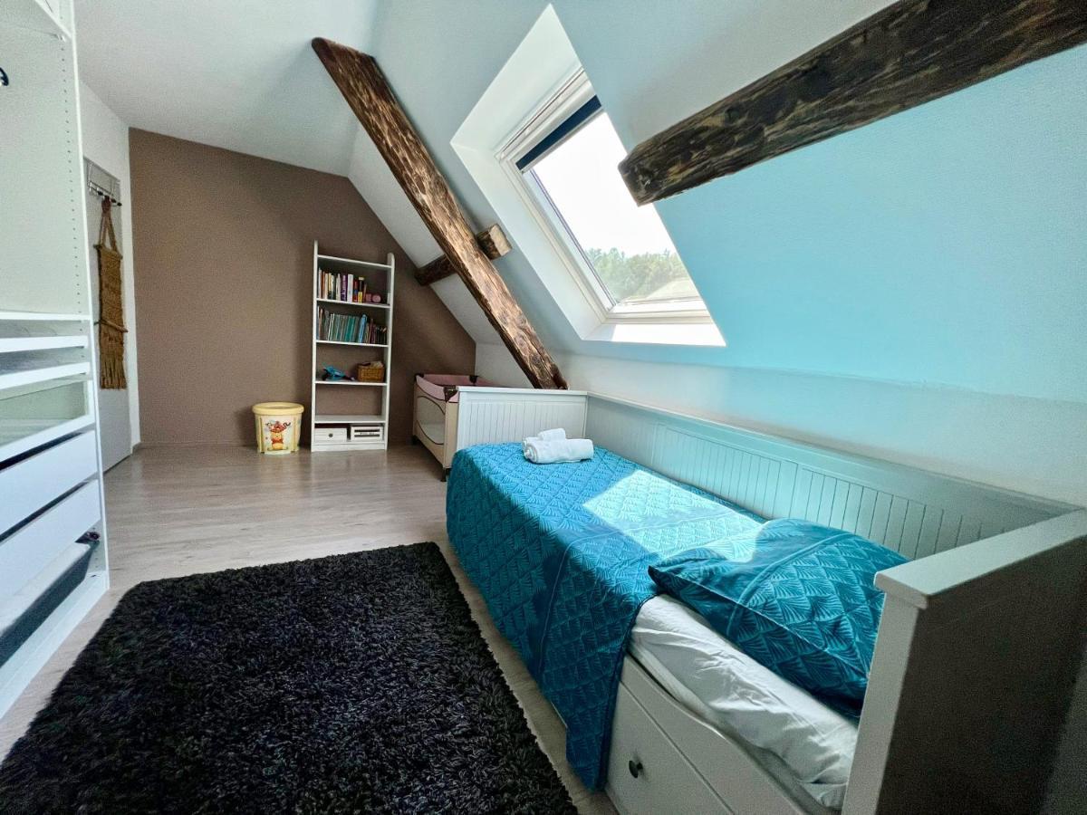 Superbe Duplex A En Alsace Apartment